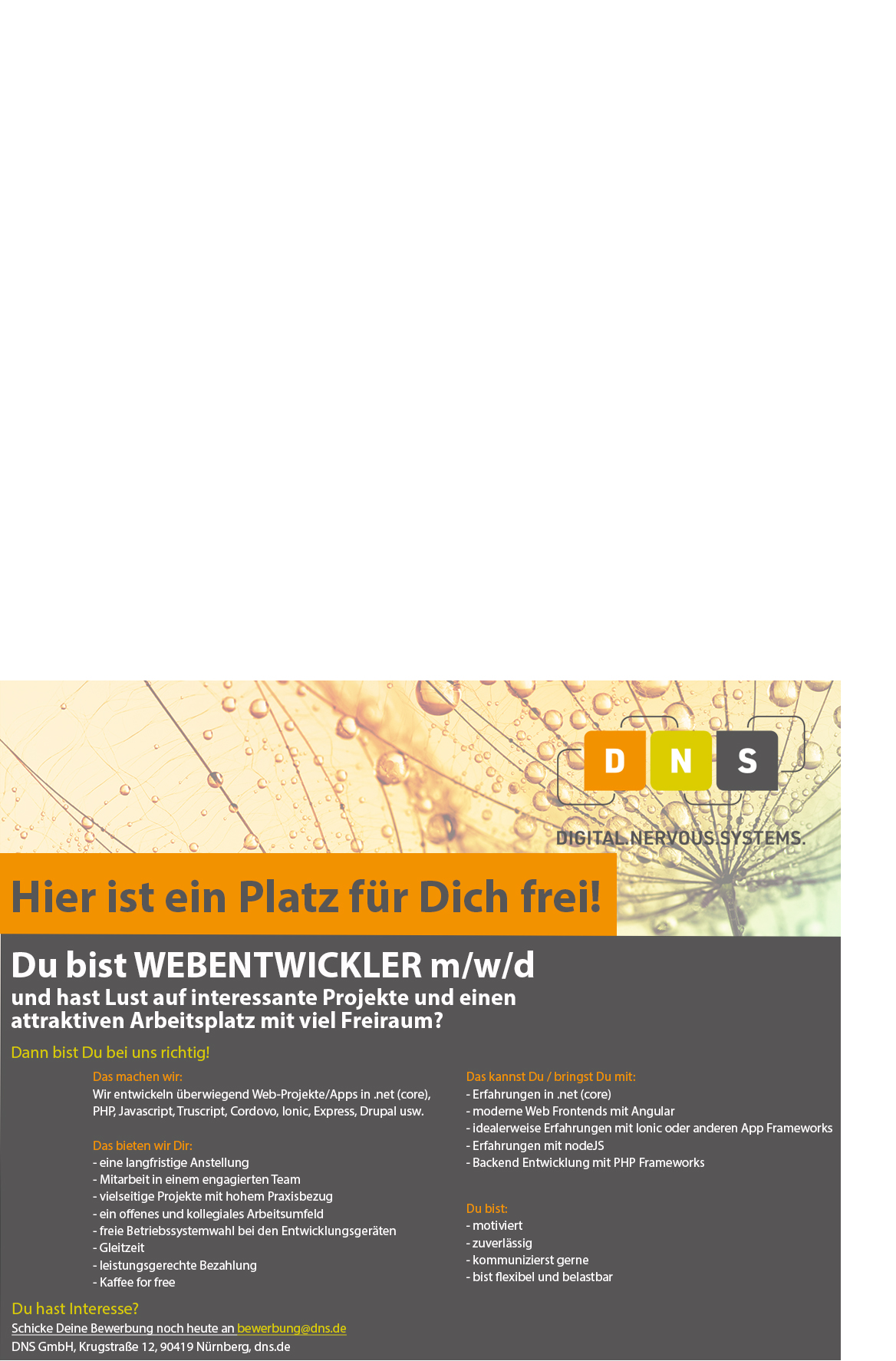 Stellenausschreibung Webentwickler IMG II-b